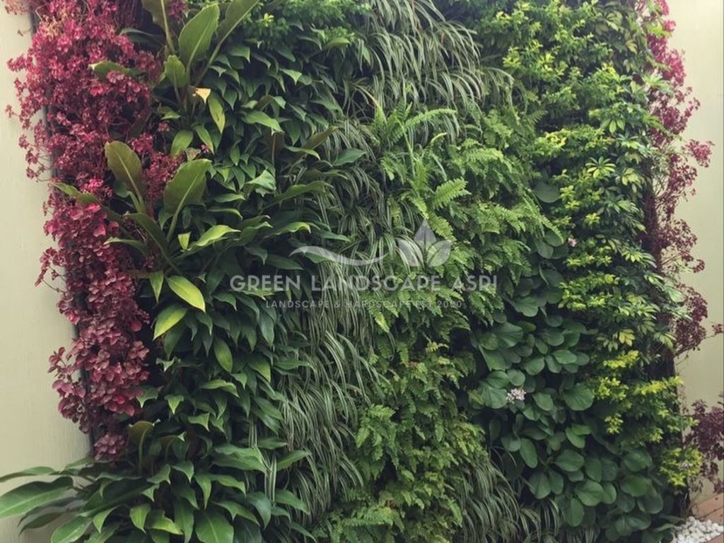 Jasa Pasang Taman Vertikal