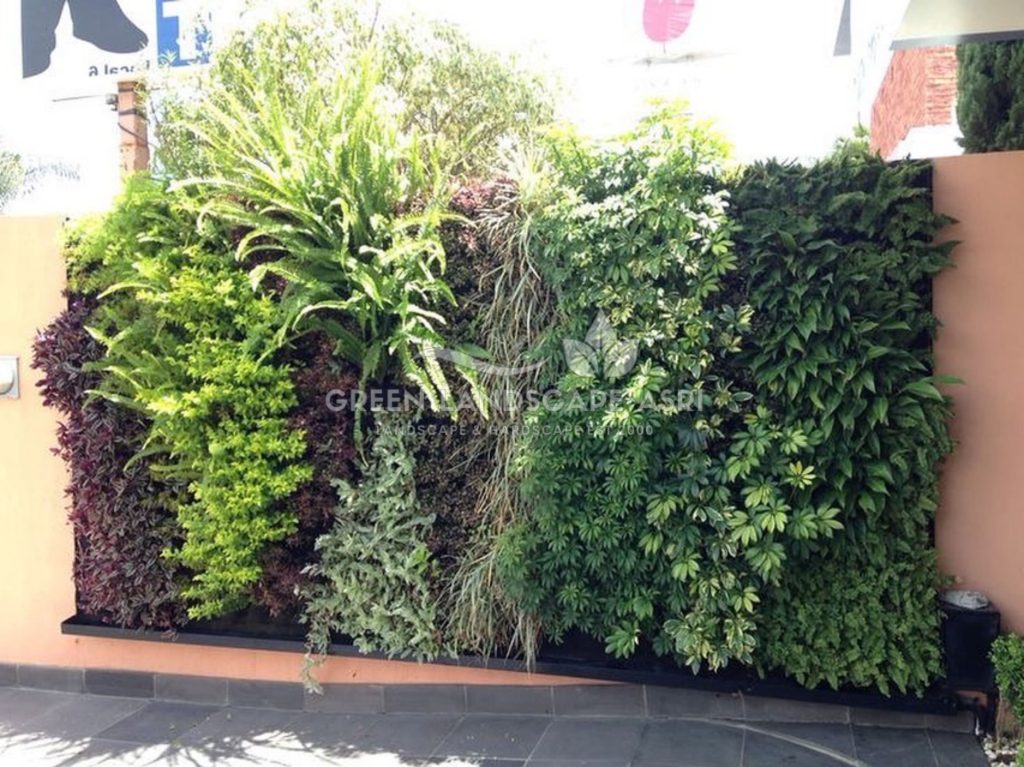 Jasa Pasang Taman Vertikal