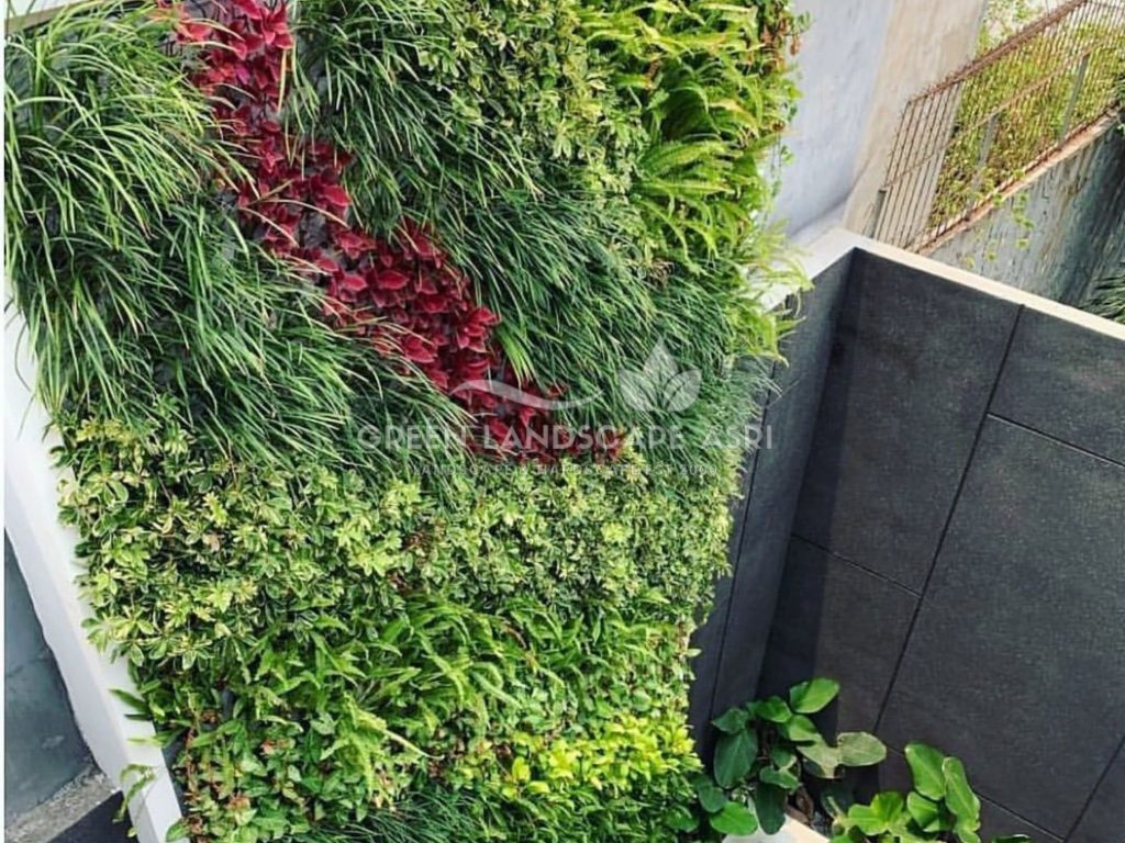 Jasa Pasang Taman Vertikal