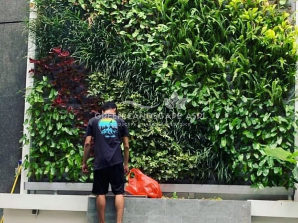 Jasa Pasang Taman Vertikal