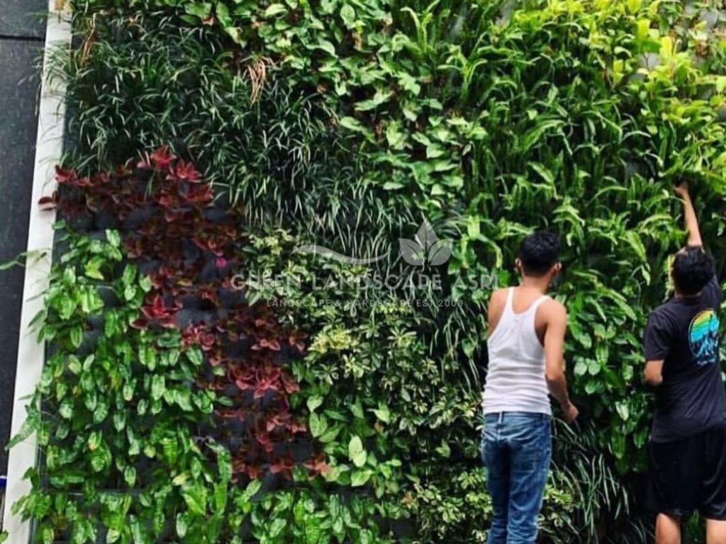 Jasa Pasang Taman Vertikal