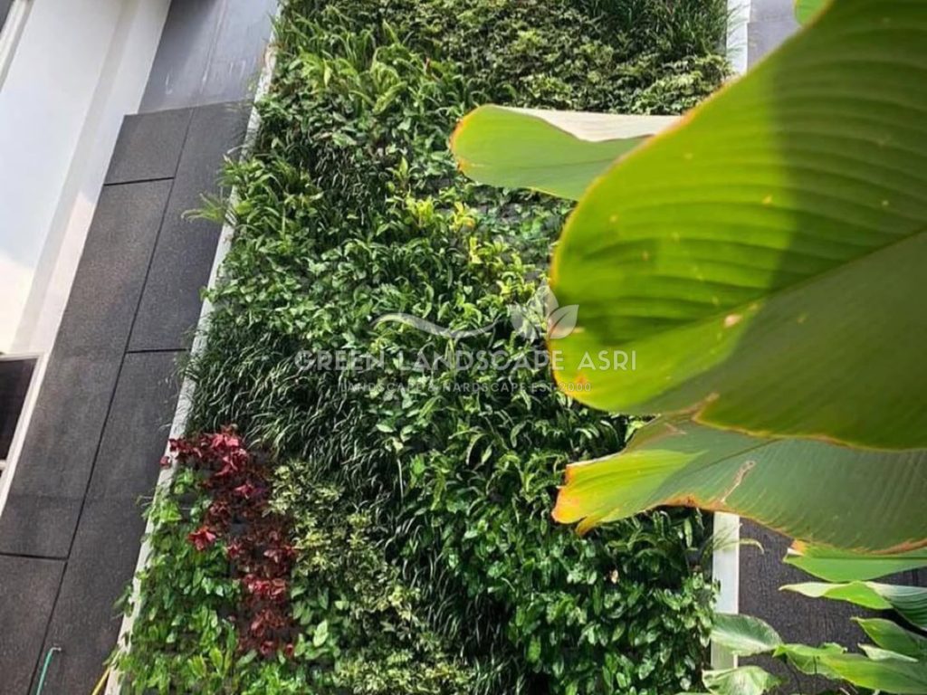 Jasa Pasang Taman Vertikal