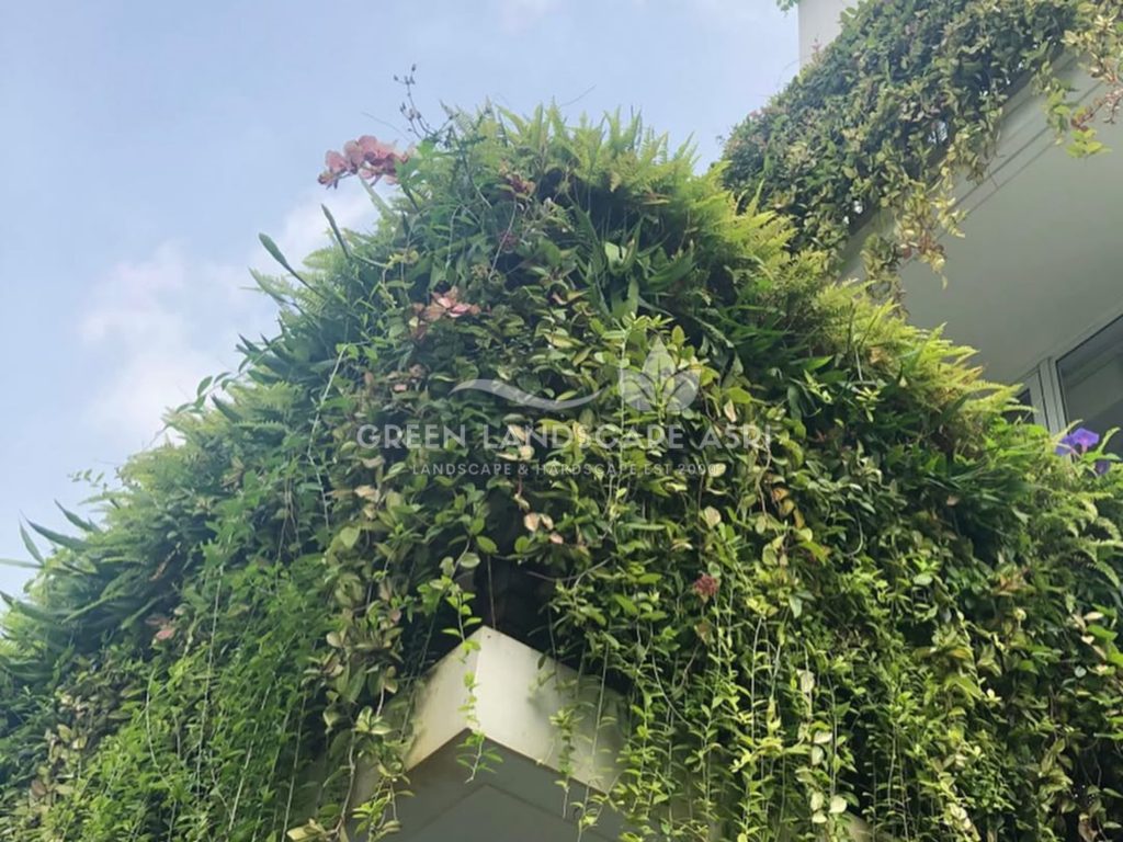 Jasa Pemasangan Vertical Garden