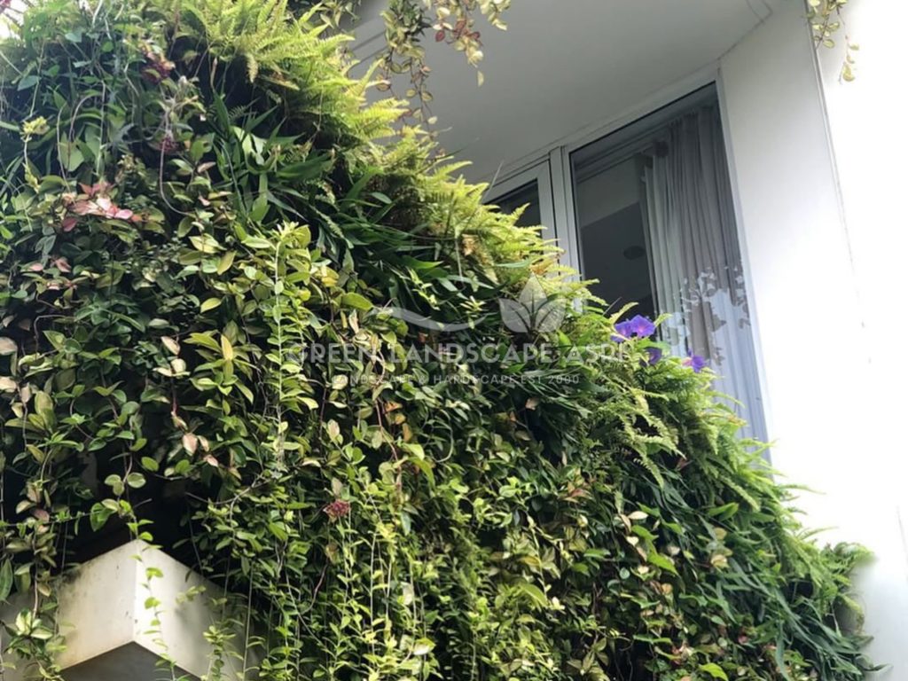 Jasa Pemasangan Vertical Garden