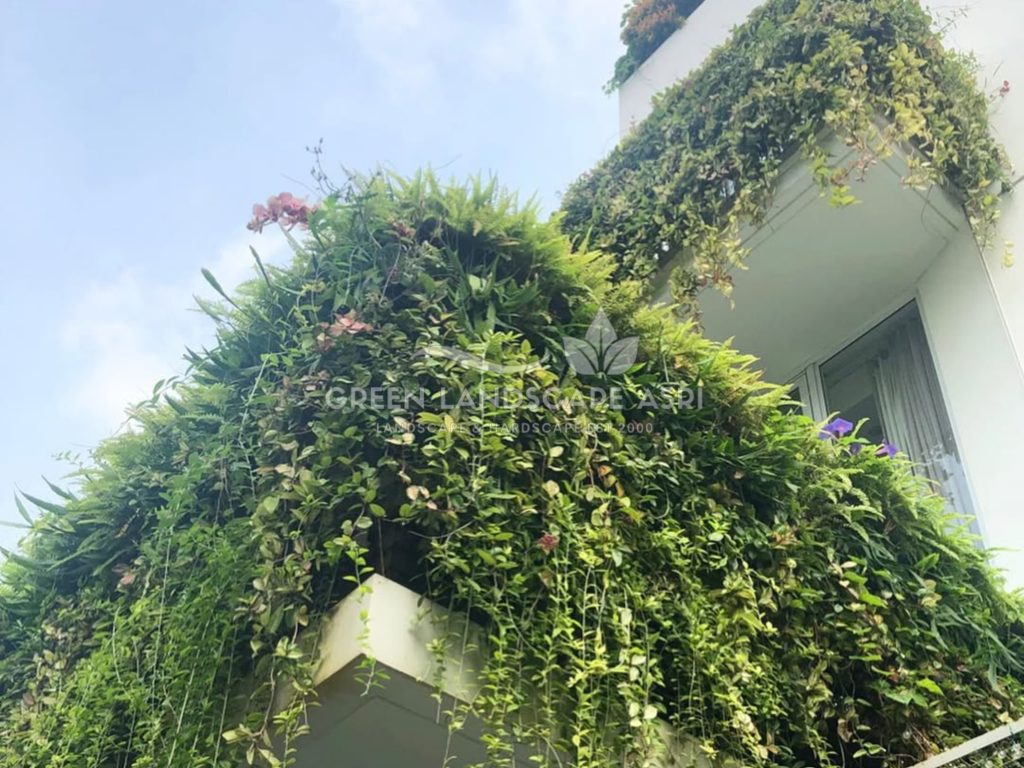 Jasa Pemasangan Vertical Garden