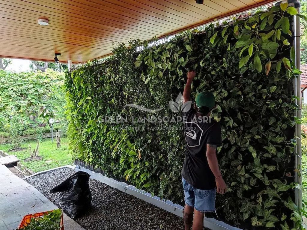 Jasa Pemasangan Vertical Garden
