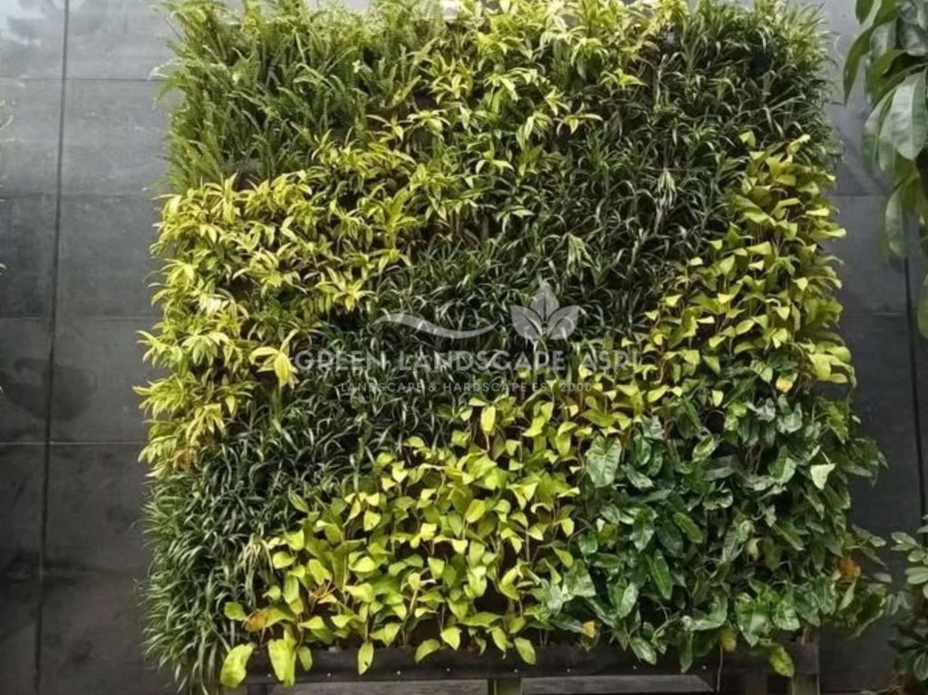 Jasa Pembuatan Vertical Garden
