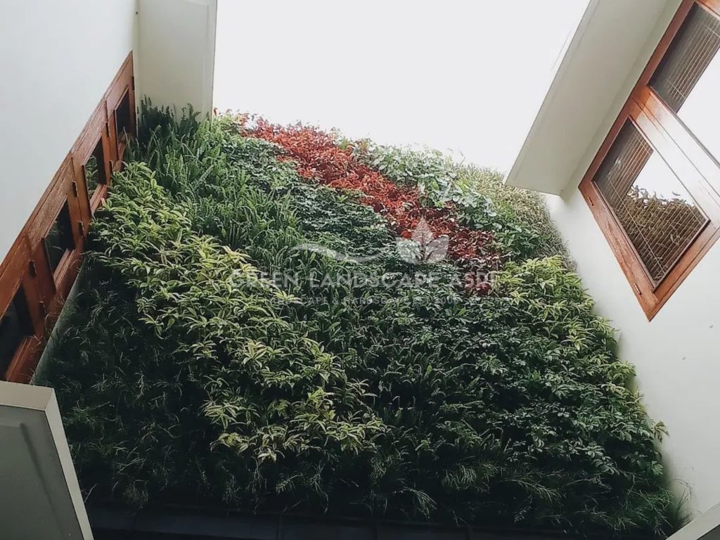 Jasa Pemasangan Vertical Garden
