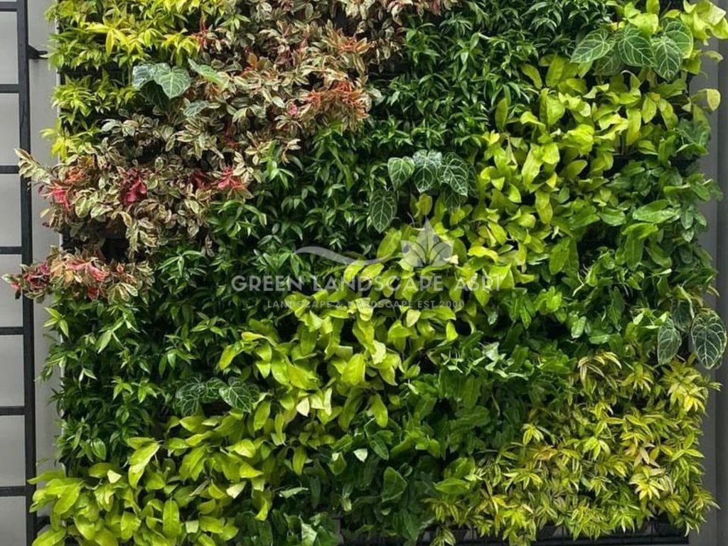 Jasa Pemasangan Vertical Garden