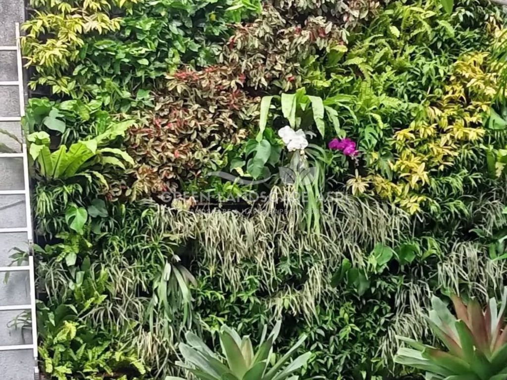 Jasa Pemasangan Vertical Garden