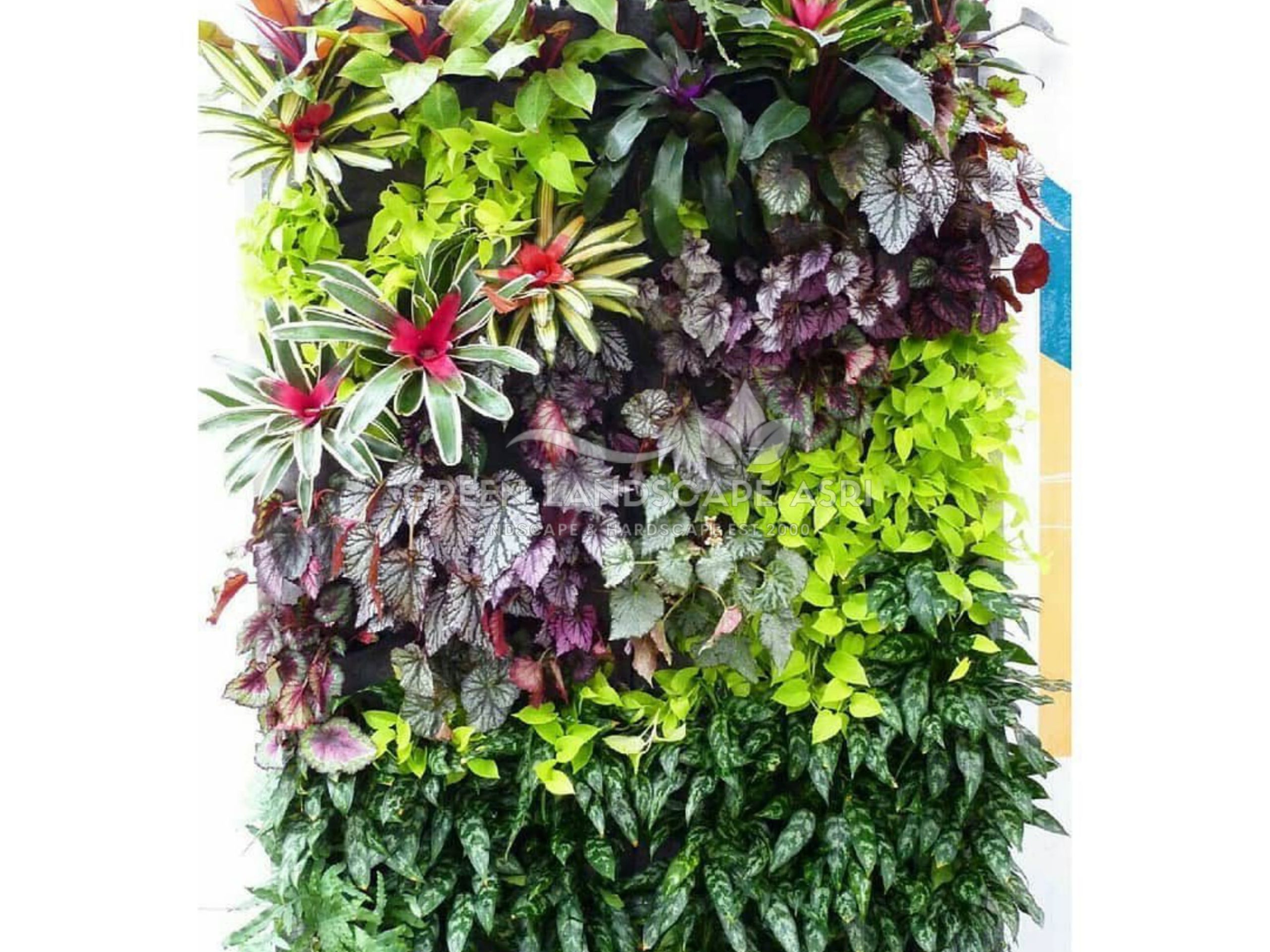 Jasa Pemasangan Vertical Garden