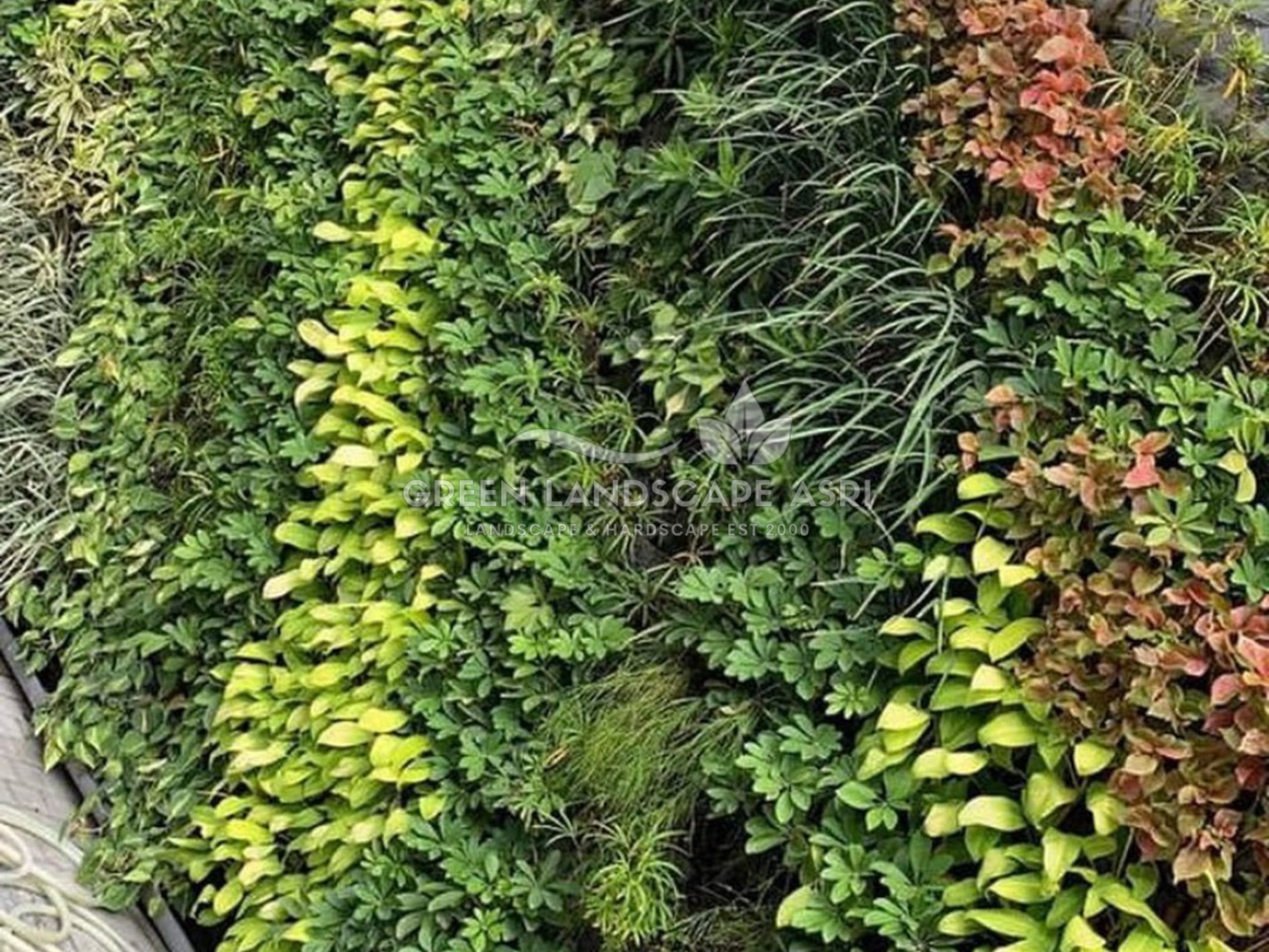 Jasa Pemasangan Vertical Garden