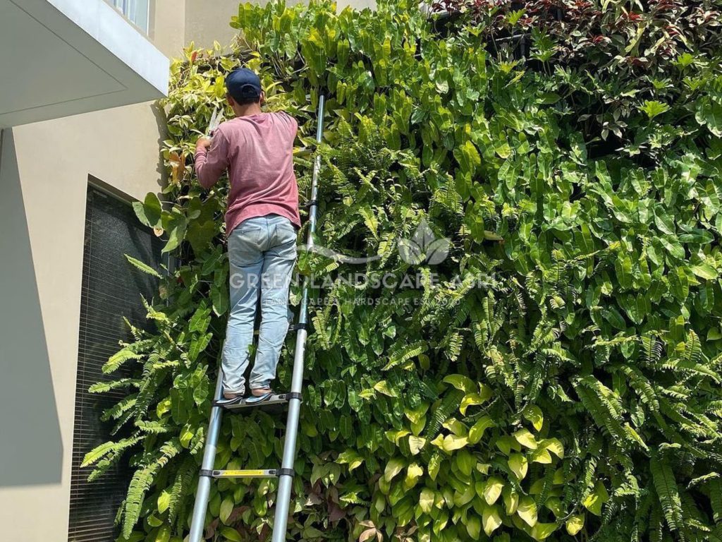 Jasa Pemasangan Vertical Garden