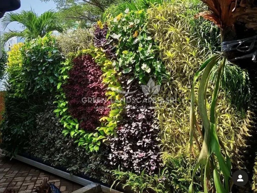 Jasa Pemasangan Vertical Garden