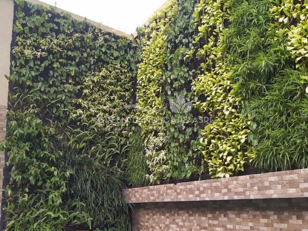 Jasa Pemasangan Vertical Garden