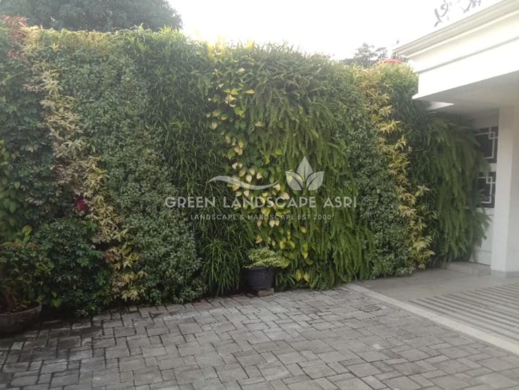 Jasa Pembuatan Vertical Garden