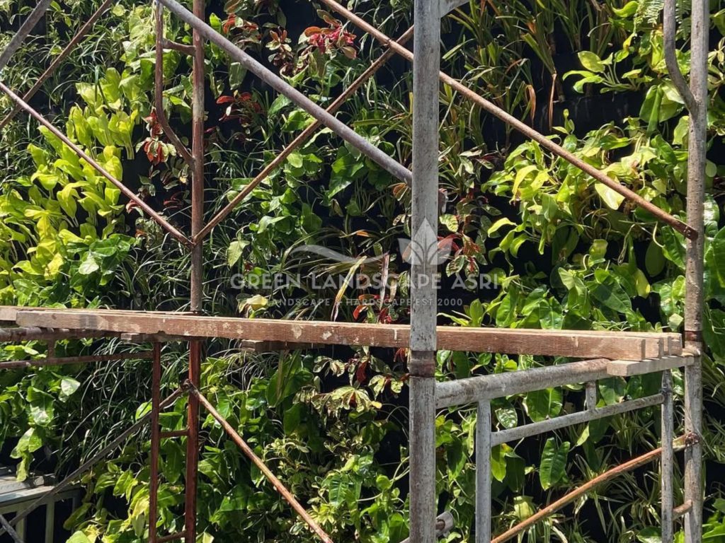 Jasa Pemasangan Vertical Garden