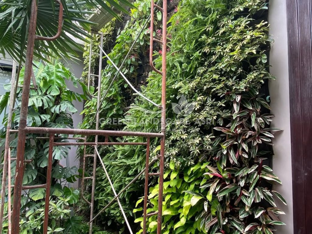Jasa Pemasangan Vertical Garden