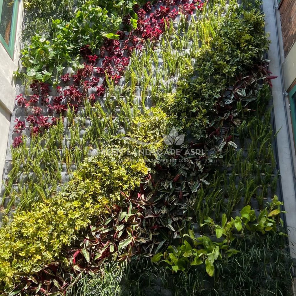 Jasa Pemasangan Vertical Garden