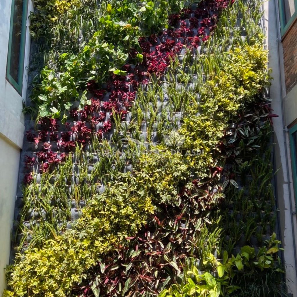 Jasa Pemasangan Vertical Garden