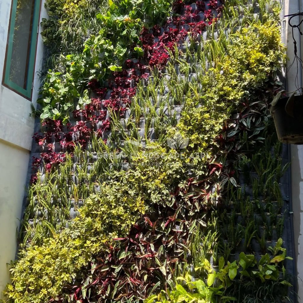 Jasa Pemasangan Vertical Garden