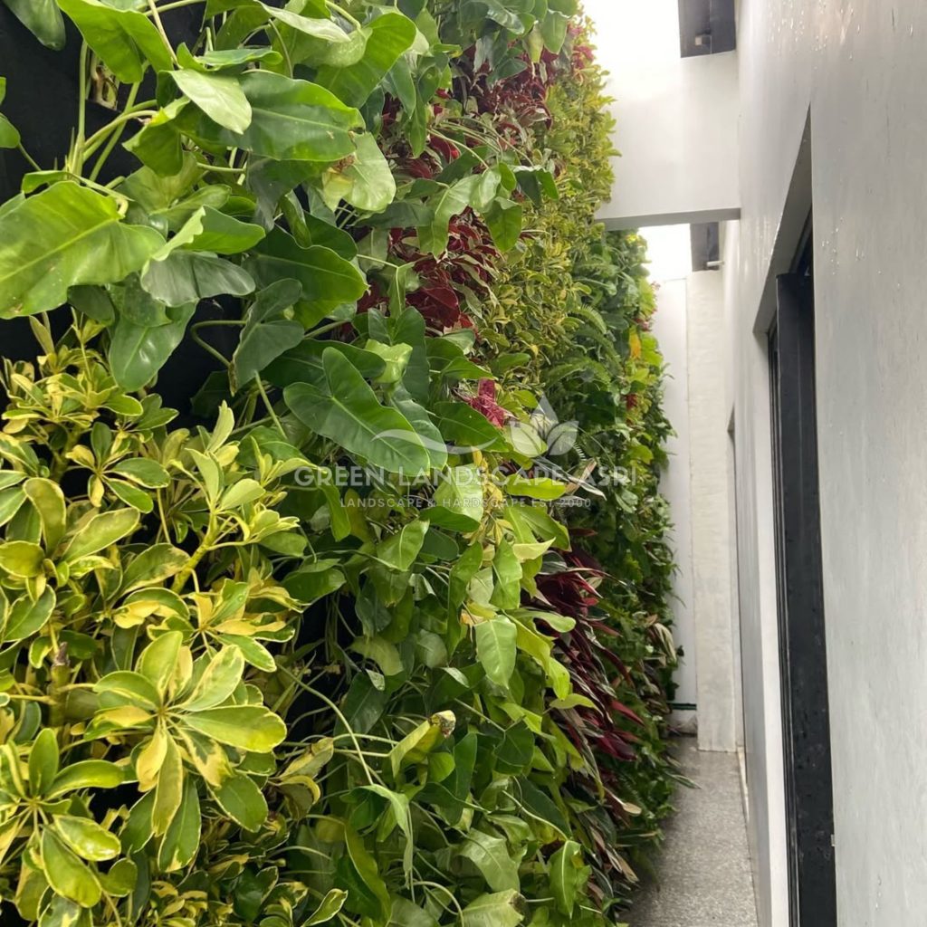 Jasa Pemasangan Vertical Garden