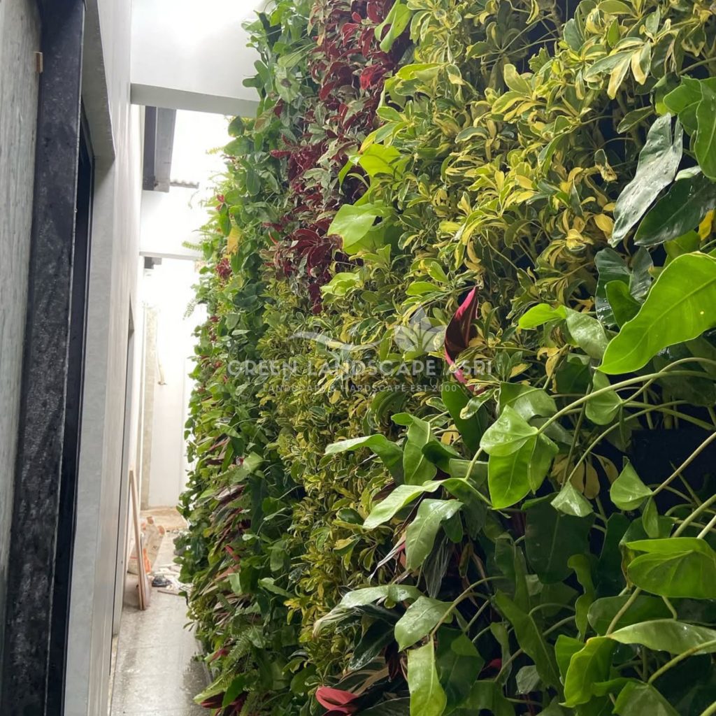 Jasa Pemasangan Vertical Garden