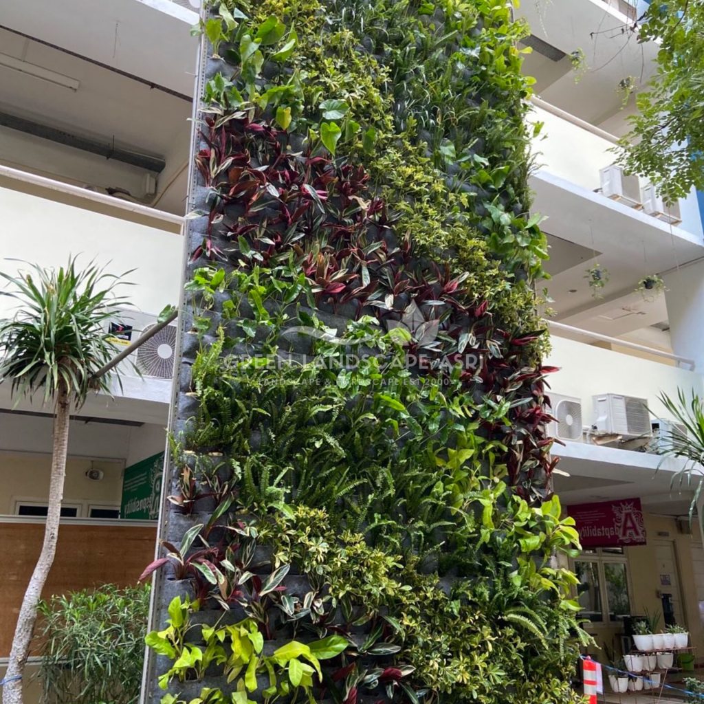 Jasa Vertical Garden Tanaman Asli