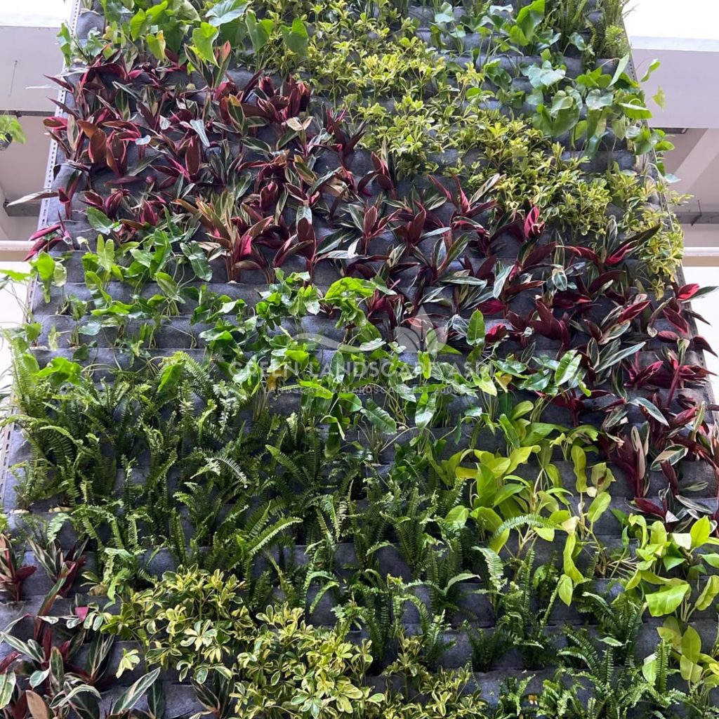 Jasa Vertical Garden Tanaman Asli