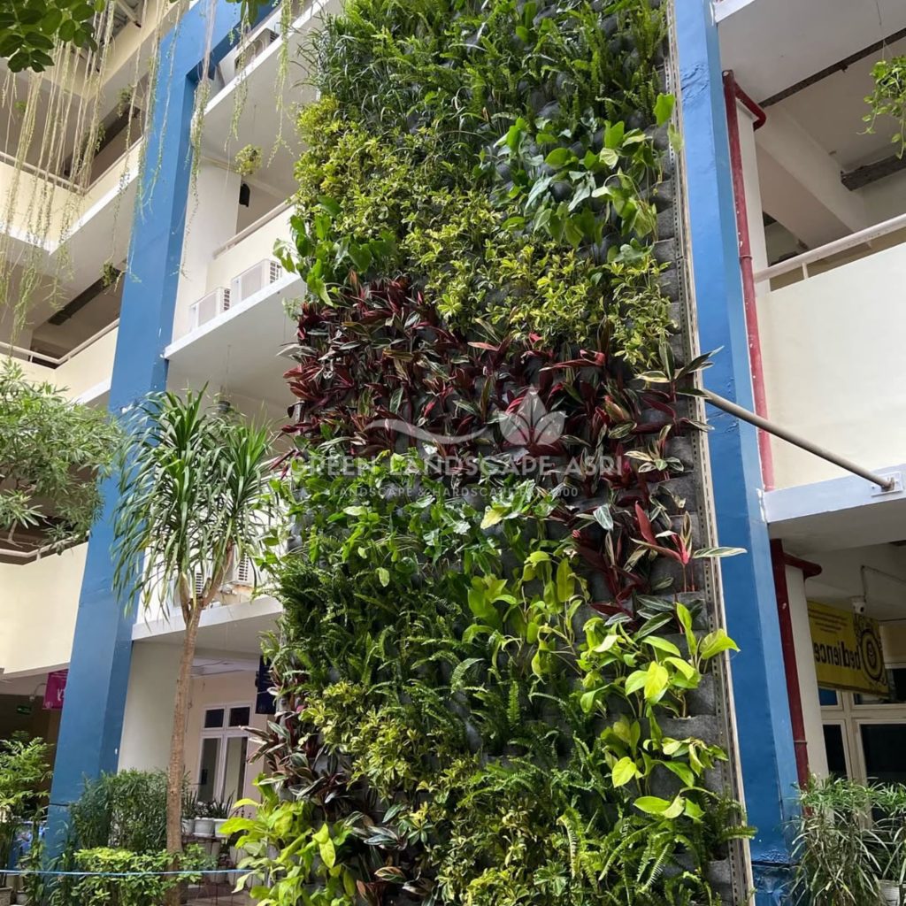 Jasa Vertical Garden Tanaman Asli