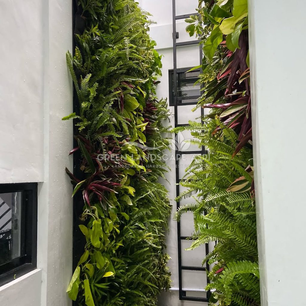 Jasa Vertical Garden Tanaman Asli