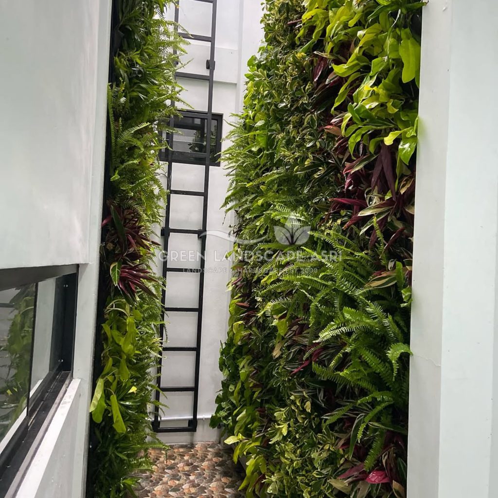 Jasa Vertical Garden Tanaman Asli