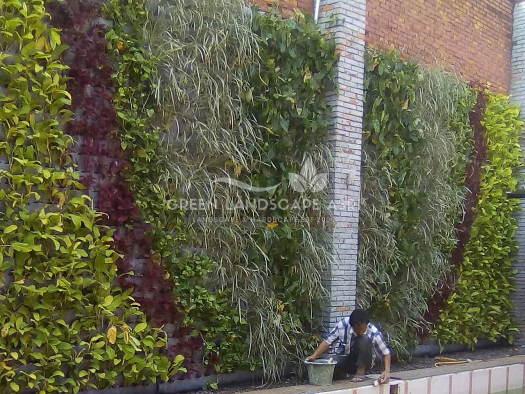 Jasa Vertical Garden Tanaman Asli