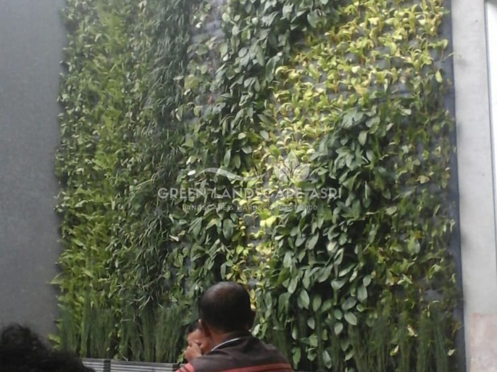 Jasa Vertical Garden Tanaman Asli