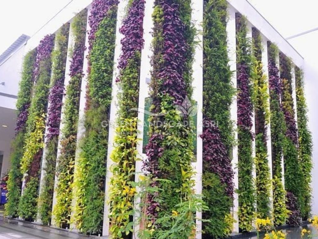 Jasa Vertical Garden Tanaman Asli