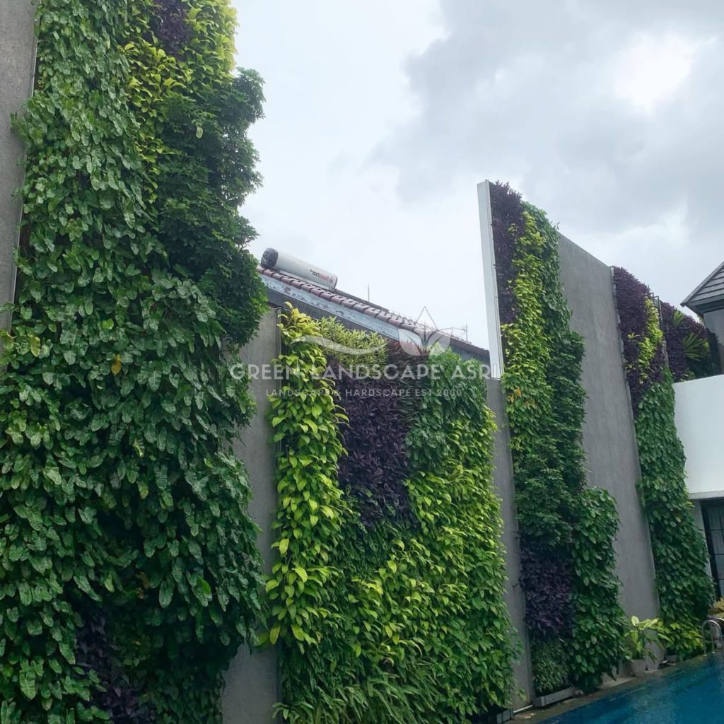 Jasa Pasang Taman Vertikal