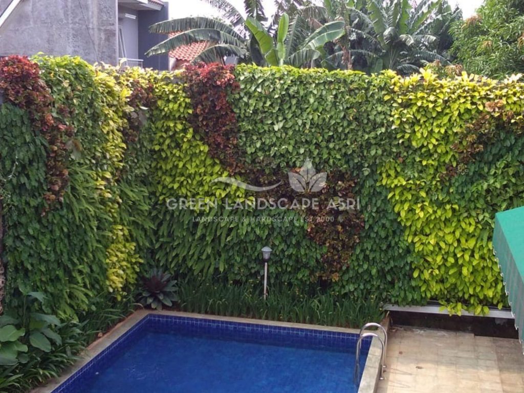 Jasa Vertical Garden Tanaman Asli
