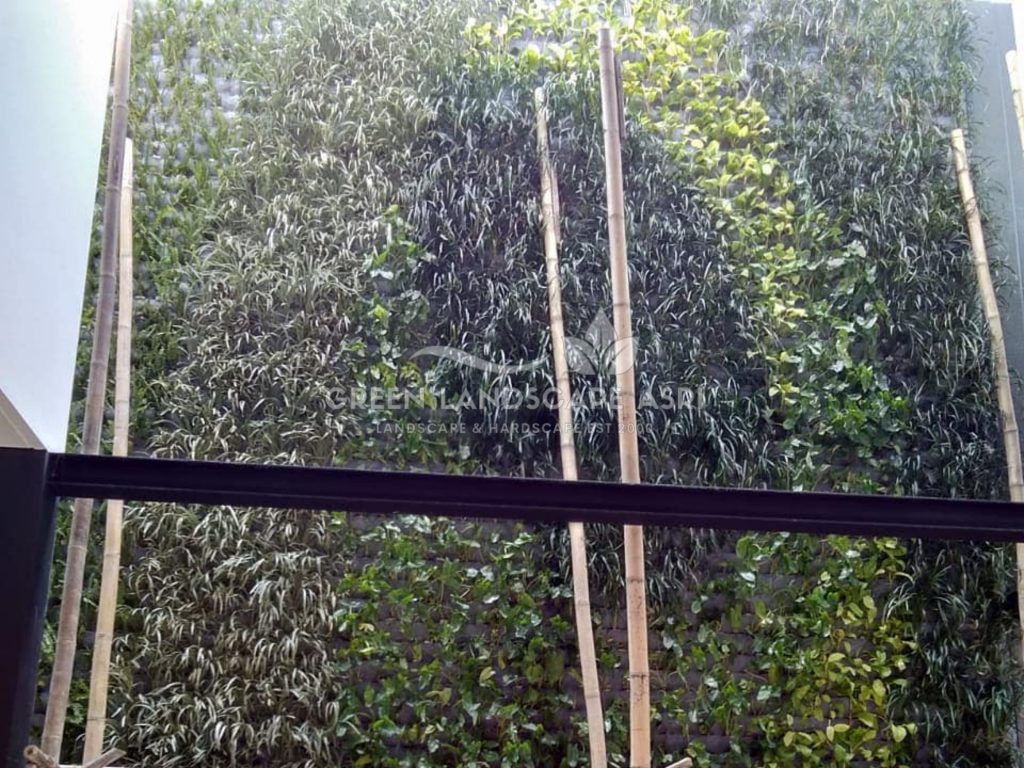 Jasa Vertical Garden Tanaman Asli