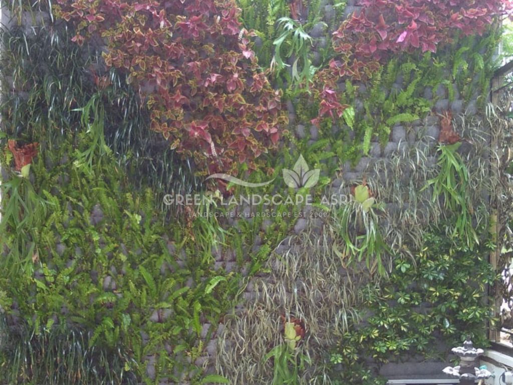 Jasa Vertical Garden Tanaman Asli