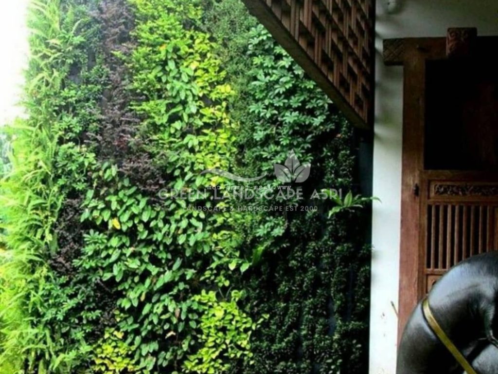 Jasa Vertical Garden Tanaman Asli