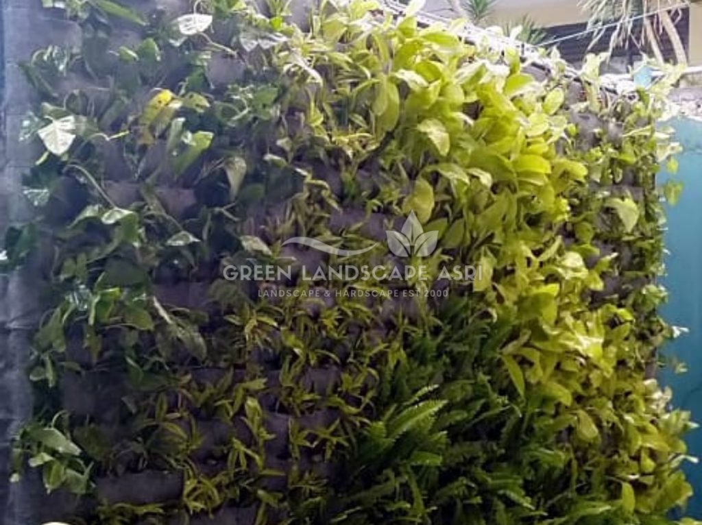 Jasa Vertical Garden Tanaman Asli