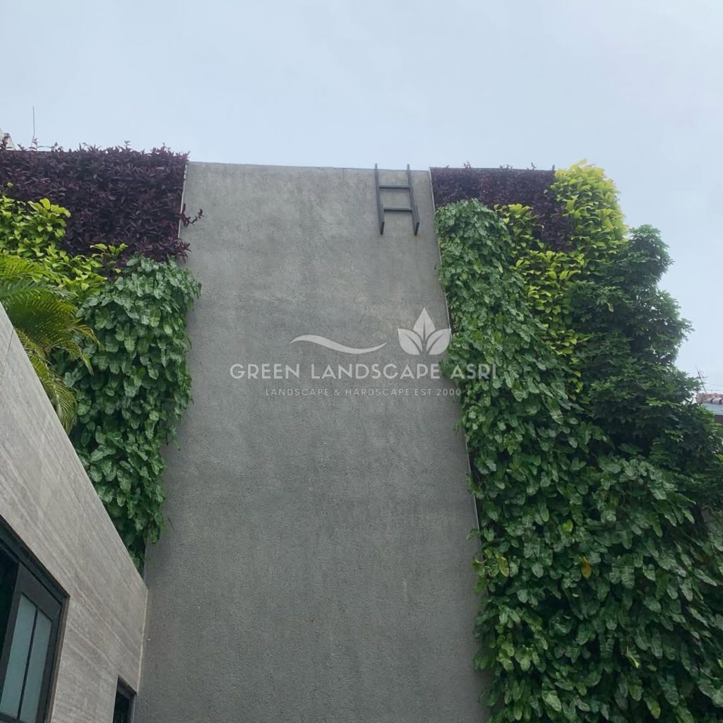 Jasa Pasang Taman Vertikal