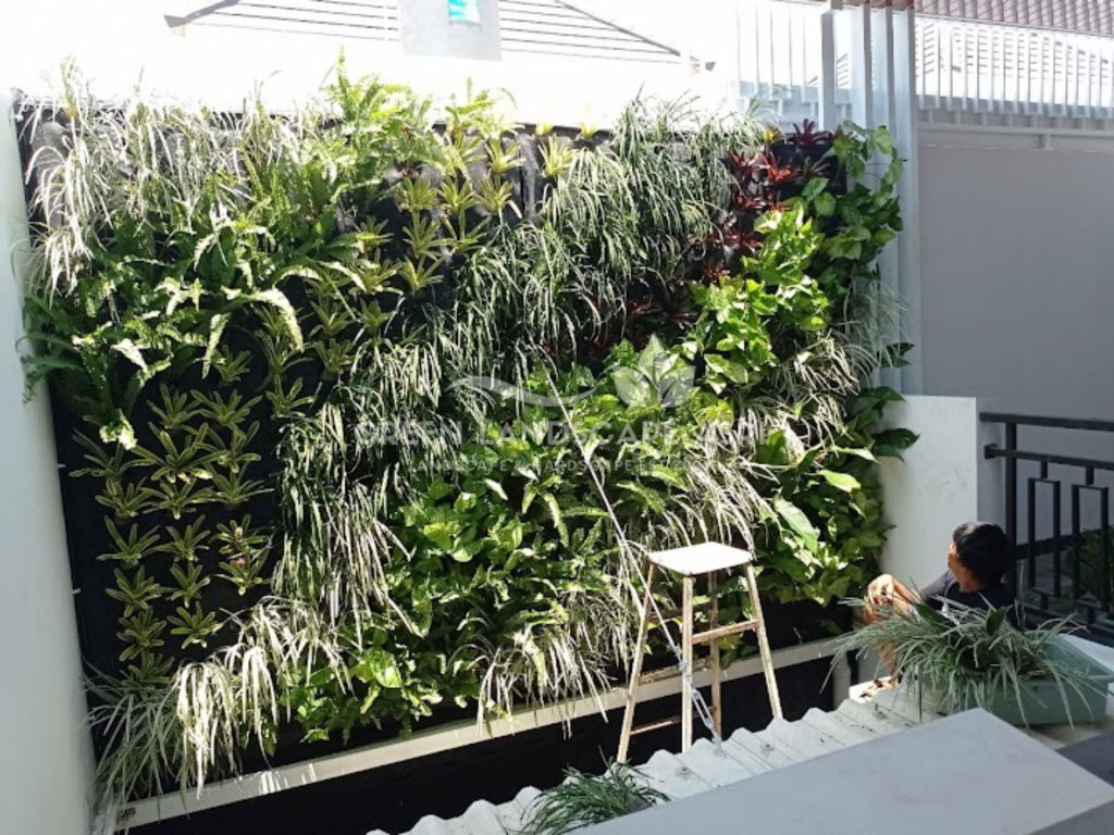 Jasa Vertical Garden Tanaman Asli