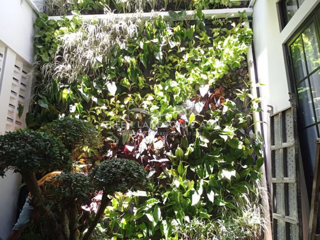 Jasa Vertical Garden Tanaman Asli
