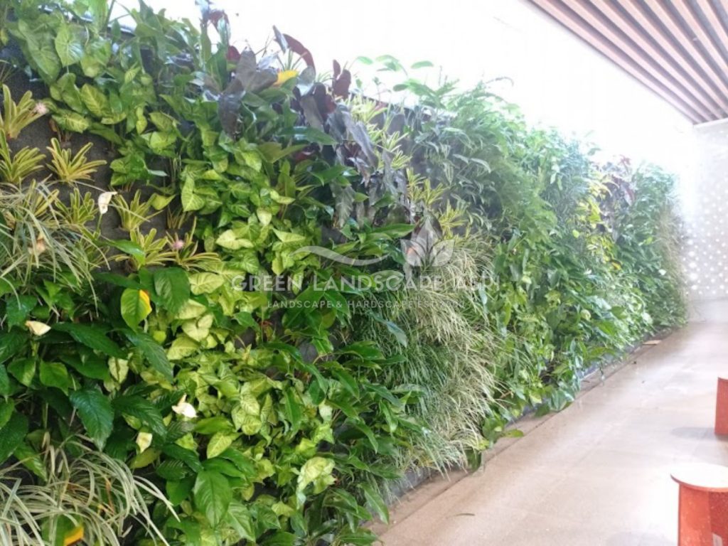 Jasa Vertical Garden Tanaman Asli