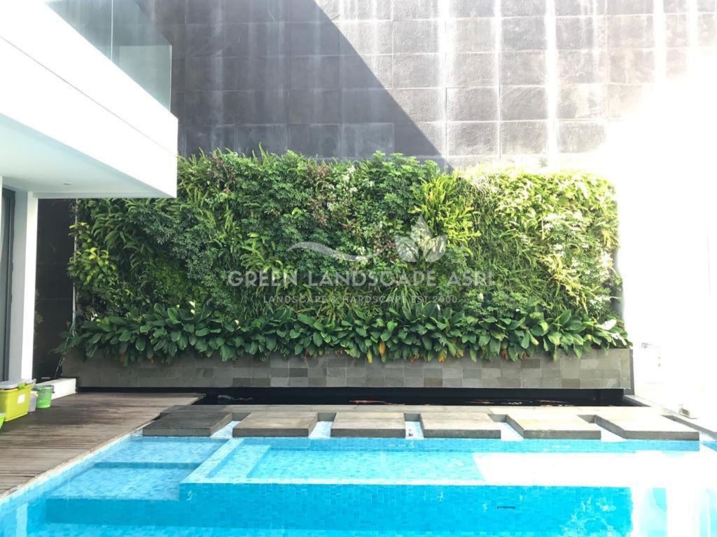 Jasa Vertical Garden Tanaman Asli