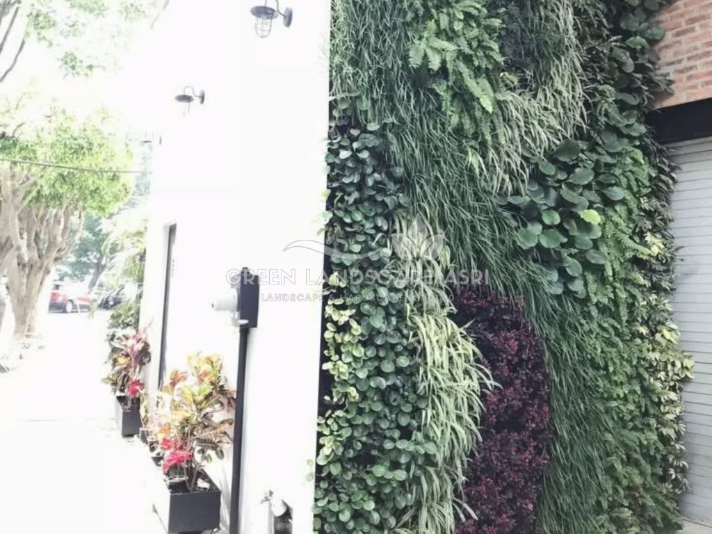 Jasa Vertical Garden Tanaman Asli