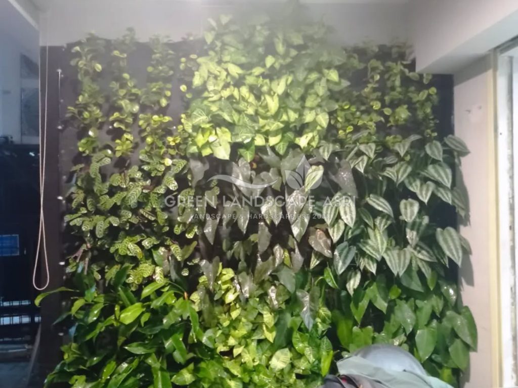 Jasa Vertical Garden Tanaman Asli