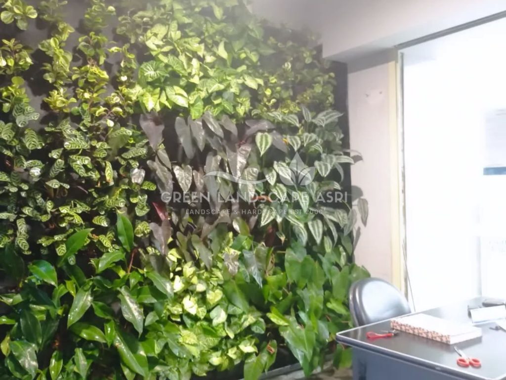 Jasa Vertical Garden Tanaman Asli