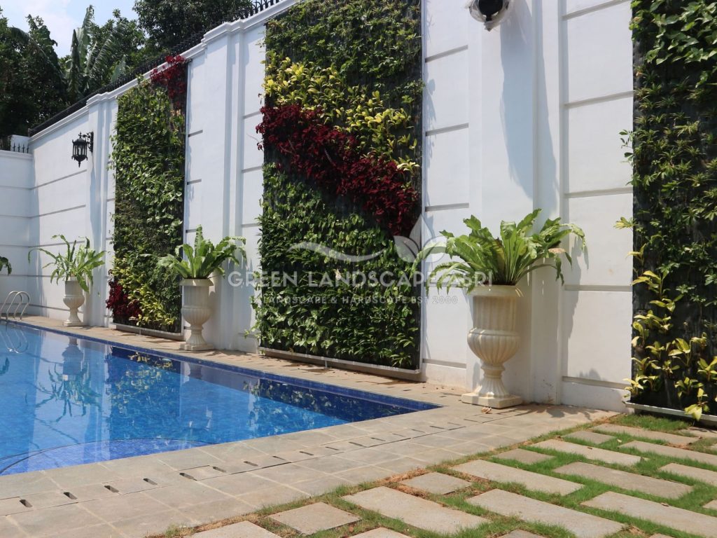 Jasa Vertical Garden Tanaman Asli